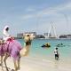 1BR Pool & Marina Views High Floor Near Jumeirah Beach, Dubai - Foto 4