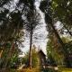 Whispering pines cabin, Bouchette (fotografie 3)