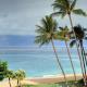 Whaler #470 Ocean View, Lahaina (foto 2)