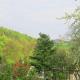 Holiday home near forest in Fischbach, cleaning included, Fischbach - Φωτογραφία 8