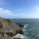 Passion Flower Cottage, Pembrokeshire (fotografie 10)