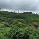 ThisTest, Nuwara Eliya
