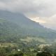 ThisTest, Nuwara Eliya (photo 6)