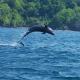 Discover Coiba Panama Tour, サンタ・カタリナ - 写真 2