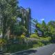 The Pines, Xinshe (foto 2)