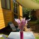 La tiny house, Saint-Vincent-de-Paul (fotografie 4)