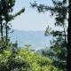 Faimly cottages, Nathia Gali (foto 3)