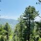Faimly cottages, Nathia Gali (foto 7)