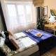 Apartment Botanica, Зволен (фото 3)
