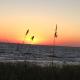 Gone Shellin' - Coastal Joe Vacation Rentals, Cape San Blas - Foto 8
