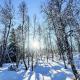 Holiday home Gol II, ゴール - 写真 9