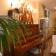 Hotel B&B Montecarlo, Milano Marittima (Foto 8)