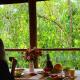 Jardim Botânico Casa Rossa Bungalows & Apartments, モロ・デ・サンパウロ - 写真 3