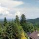 Apartment Jagdschlösschen, Bad Sachsa, Bad Sachsa - Foto 9