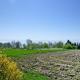 Holiday park, Immenstaad, Immenstaad am Bodensee - Photo 7