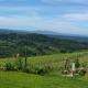 Villa le Sughere - Privacy, Piscina e Vista Panoramica, Castellina Marittima (foto 6)