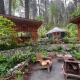 Magical Yurt in the woods - 2 miles from town, Nevada City (foto 5)