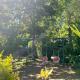 Les CHARMES, Jugy (foto 3)