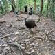 BACKPACKER LODGE Trekking & Transport, Bukit Lawang (foto 4)