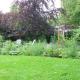 Theetuin en B & B 'De Theetuin', Wijckel (fotografie 2)