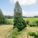 Hilley Holey, Horning (photo 5)