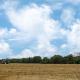 Alice Cottage, Thurning (foto 4)