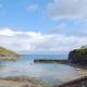 Lower Moon Port Isaac - Photo 9