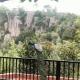 Bluevalley Estate-Three Bedroom Villa, Yercaud (foto 4)