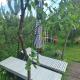 Dzintarkrasts, Jurmala (photo 7)