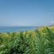 An apartment with an ocean view in Playa Islita, Islita (fotografie 6)