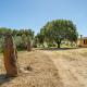 AffittaSardegna - Villetta Sae Grecu, Cala Liberotto - Foto 5