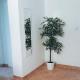 Apartment Karlo - city center, Pag - Foto 2