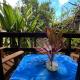 Tuava Bungalows, Hanga Roa (fotografie 9)