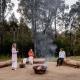 Weetaliba - Country Retreat, Yatte Yattah (foto 2)