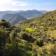 Casa Limón - Alpujarras, Órgiva (photo 5)