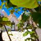 Trulli e Frasche, Martina Franca - Fotografie 1