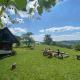 Nature-based Retreat by Naj Raste, Senovo (foto 3)