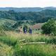 Nature-based Retreat by Naj Raste, Senovo (foto 6)