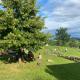 Nature-based Retreat by Naj Raste, Senovo (foto 8)