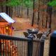 Moonshine Times - 3king 4queen perfect family and friends cabin firepit, Broken Bow (photo 7)