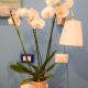 Etere in Prati Rooms, Roma - Foto 5