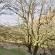 Combe Cottage-Uk42228, Low Borrowbridge (fotografie 3)