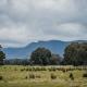 Northern Grampians Hideaway by Tiny Away