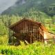 Mysterious Kutla Cottage,Kutla, Tosh, Chhorang - Fotografie 10
