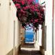 Il Maestralino, nice apartment with courtyard Calasetta - Fotografie 4