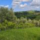 CASA DORIS Montecarotto, Le Marche - Top Lage, Glasfaser WIFI, neu renoviert, Montecarotto (fotografie 7)