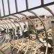 ozil appartement, Agadir (foto 5)