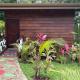 Chato Arenal Lodge, Фортуна - Фото 8
