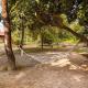 Glampin By Tharu Garden Sauraha - Foto 3