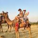 Hariyali Dhani Camps & Desert Resort With Swimming Pool, Jodhpur, Balesar (foto 8)
